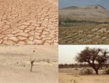 Desertification Affects Over One-fourth Area Of India : Report 