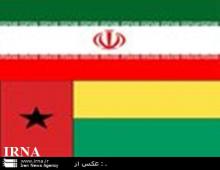 Iran Ready To Launch Power Plant In Guinea-Bissau : Minister 