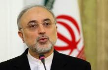 Salehi Calls For Iran-India Joint Investment  