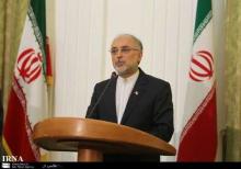 Salehi: Iran Believes In Territorial Integrity, Nat'l Sovereignty Of Syria 