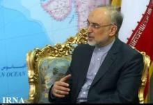 Salehi, İhsanoğlu Discuss Iraq, Syria, Mali Events 
