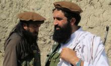 Pakistan, Taliban, ceasfire