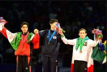 Iran Ranks 2nd At 2013 World Taekwondo Championships 