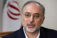 Iran, Russia Stress Construction Of New Nuclear Plants : Salehi  