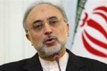 Salehi: Iran Acting In Nuclear Areas According To National Interests  