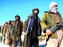 Pakistan Taliban Appoint Interim Chief