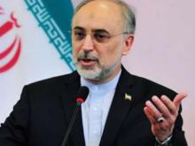 Salehi: Iran-IAEA Agree On Inspection Of Arak Reactor, Gachin Mine