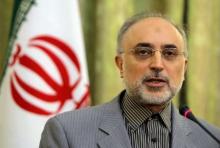 Salehi : Iran-IAEA Co-op On Right Track  