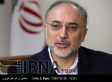 More Experts To Join Iranˈs Nuclear Negotiating Team: Salehi