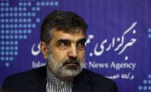 Iran Ready To Address All IAEA Concerns: Official