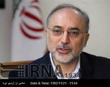 Salehi: Iran To Move Ahead In N-technology With Greater Pace
