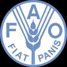 FAO Team In Tehran For Immediate Fisheries Survey