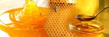 Honey Exports Reach 800 Tons
