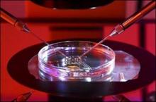 Iran Researchers Produce New Biosensor To Detect Hepatitis B