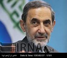 Iran Wants Nuclear Talks To Continue: Velayati