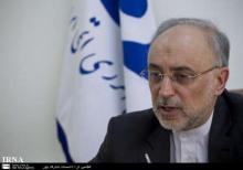 Salehi appreciates Armed Forces for downing Israeli drone