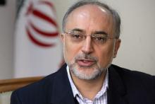 Salehi: Certain South Asian States Involved In Nuclear Sabotage In Iran