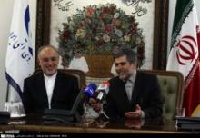 Salehi Expresses Hope Nuclear Issue Ends Up In Win-win Solution  