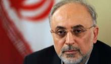  Salehi: Iran ready to ease Wests worry in nuclear case win-win way  