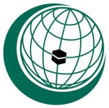  Saudi Arabia to support Pakistan’s candidate at the OIC  