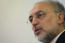 Salehi Urges G5+1 To Use Opportunity, Interact With Iran