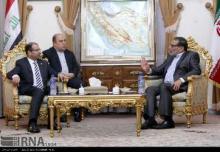 SNSC secretary hails trend of democracy building in Iraq