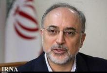 FM: Iran supports promotion of regional cooperation for sustainable development 