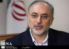 Salehi Confers With Qatari Counterpart On Release Of Kidnapped Iranians In Syria