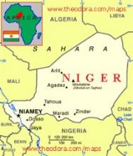 Niger FM Hopes Global Peace To Be Materialized Through Tehran NAM Meet   