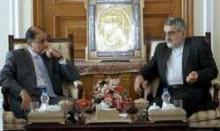 MP: Minor Issues Should Not Affect Iran-Egypt Ties  