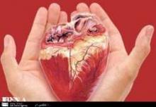 Iranian Specialists Highly Capable For Tissue, Organ Transplant  