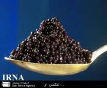 Iran, High Quality Caviar Exporter  
