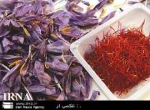 Iran's Saffron Exports To Fetch  $400m 