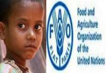 42% Of India's Children Stunted: FAO Expert  