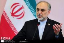 Salehi: Tehran Summit's Effects To Be Evident In Future  