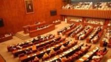 Pakistani Senate Condemns Anti-Islam Video, West Campaign