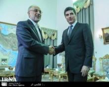 Salehi: Iran’s diplomacy vis-à-vis Syria to prevent deepened crisis 