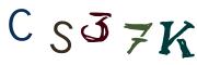 Image CAPTCHA