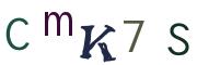 Image CAPTCHA