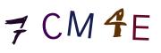Image CAPTCHA
