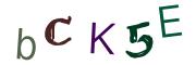 Image CAPTCHA