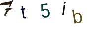 Image CAPTCHA