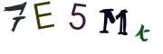 Image CAPTCHA