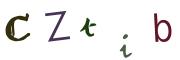 Image CAPTCHA