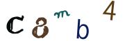 Image CAPTCHA