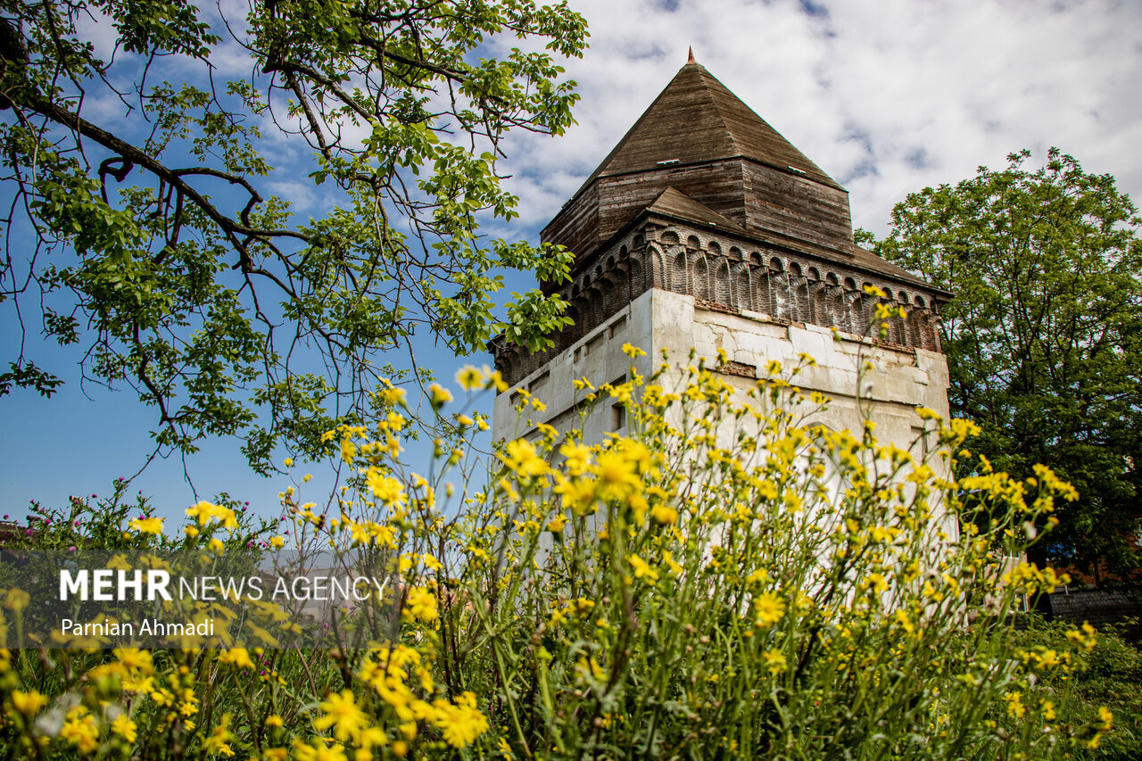 Selected Photos of Ordibehesht 1404 (April-May 2025)