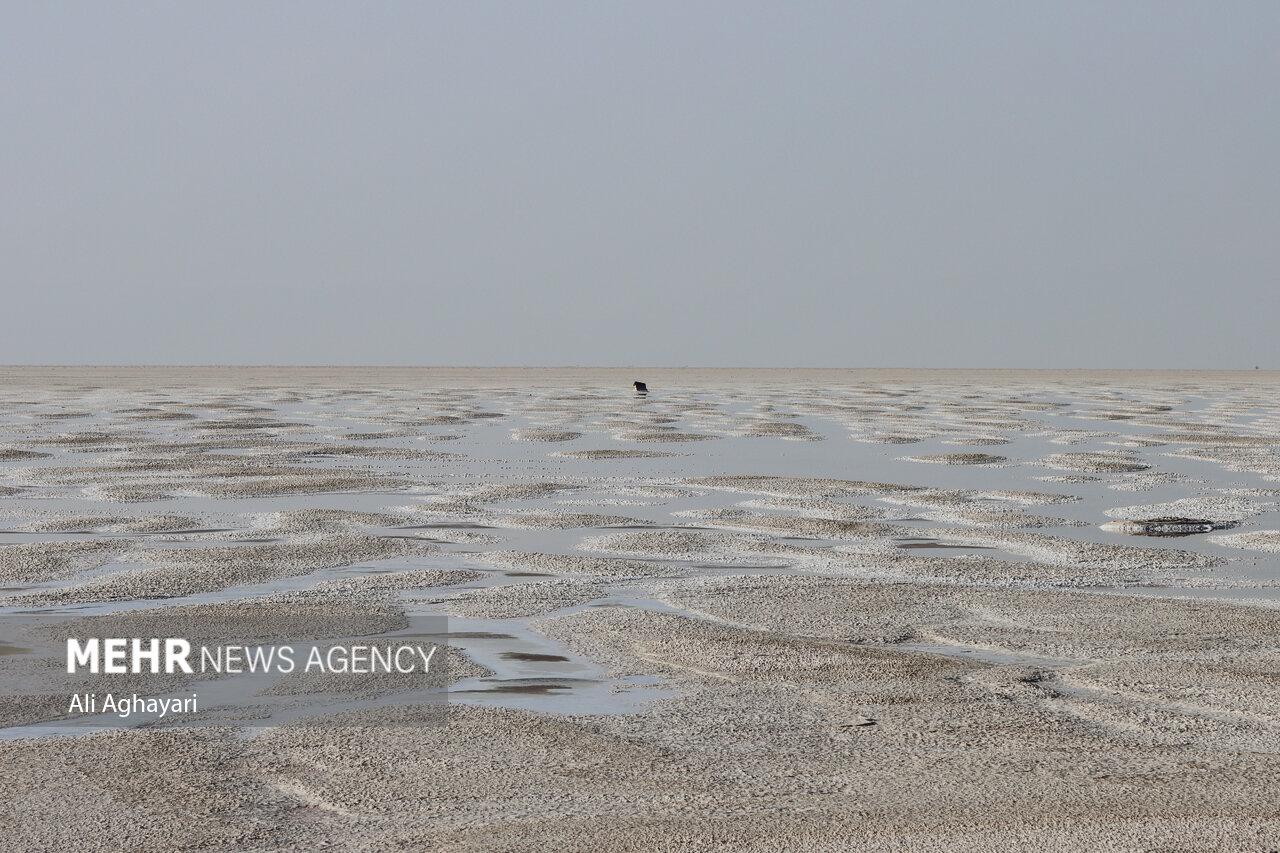 Lake Urmia: Gasping its last breaths in the silence of the salt desert