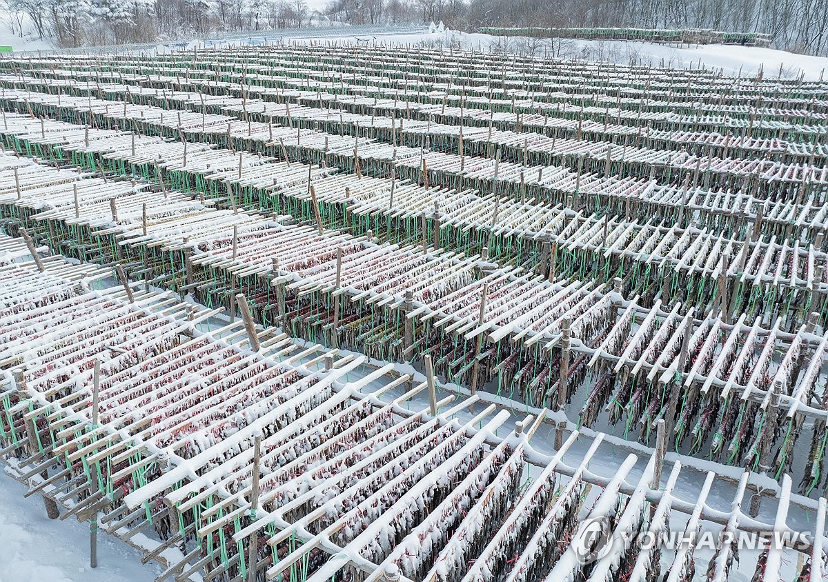 Snow scene in S. Korea