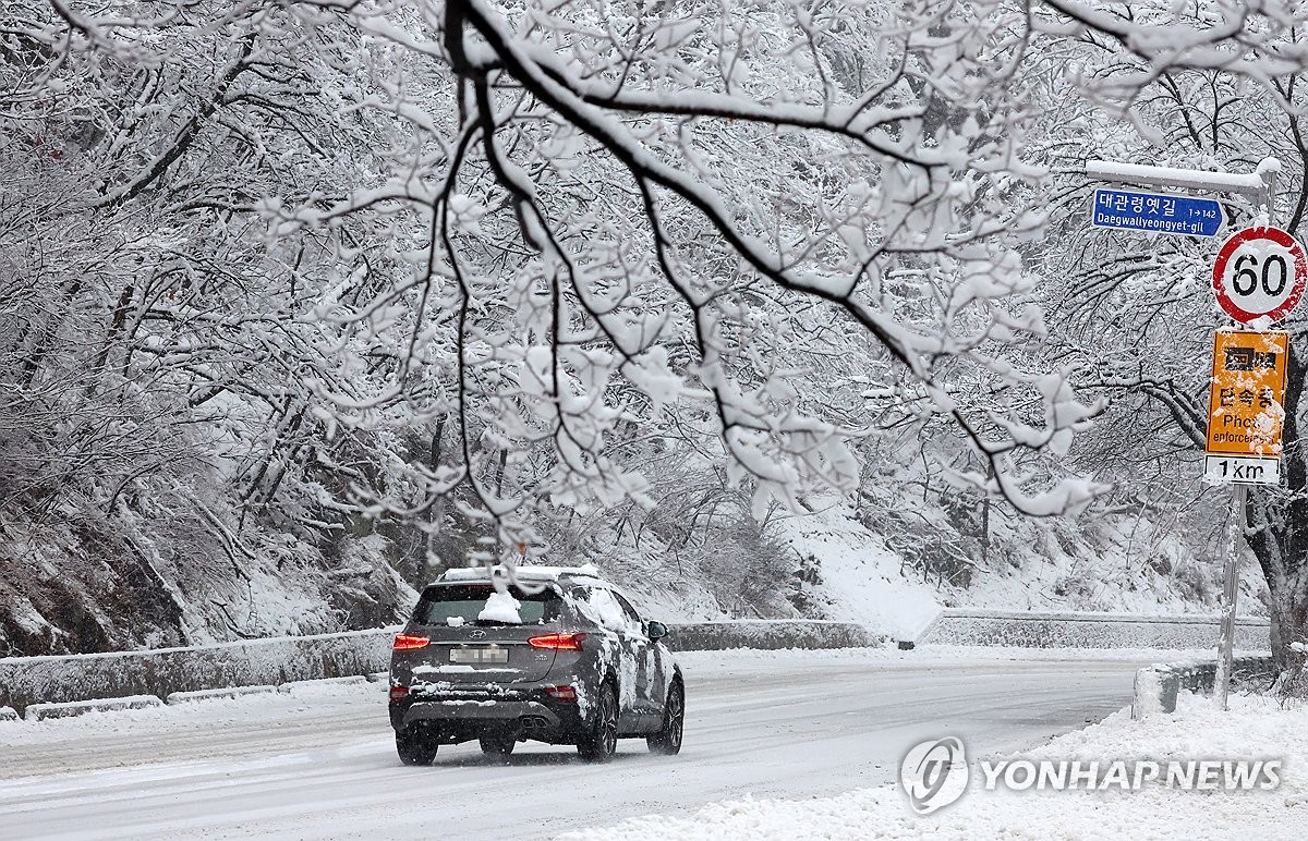 Heavy snow hits S. Korea's northeastern area