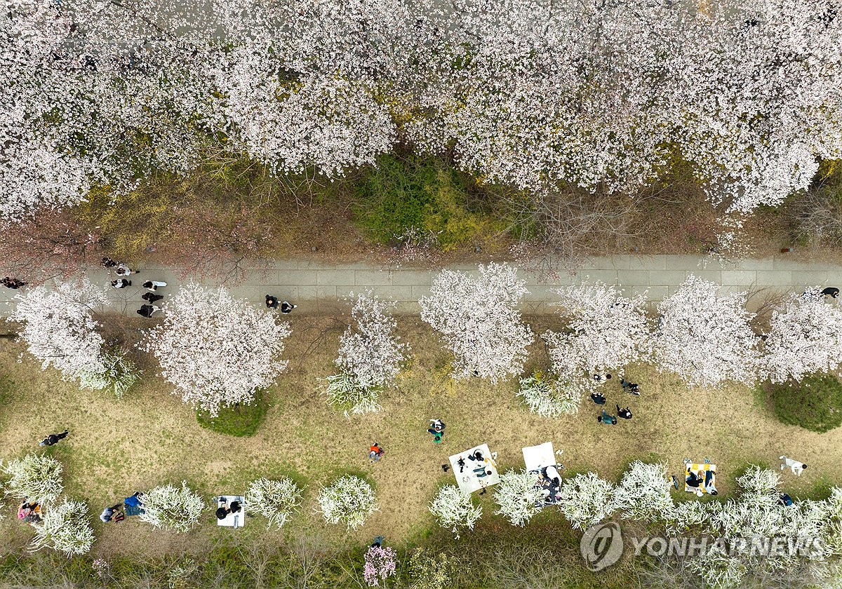 Spring flower festival in Seoul